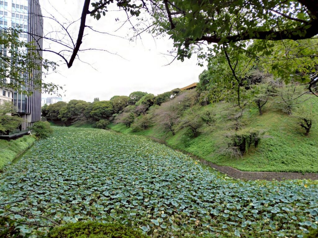 北の丸公園