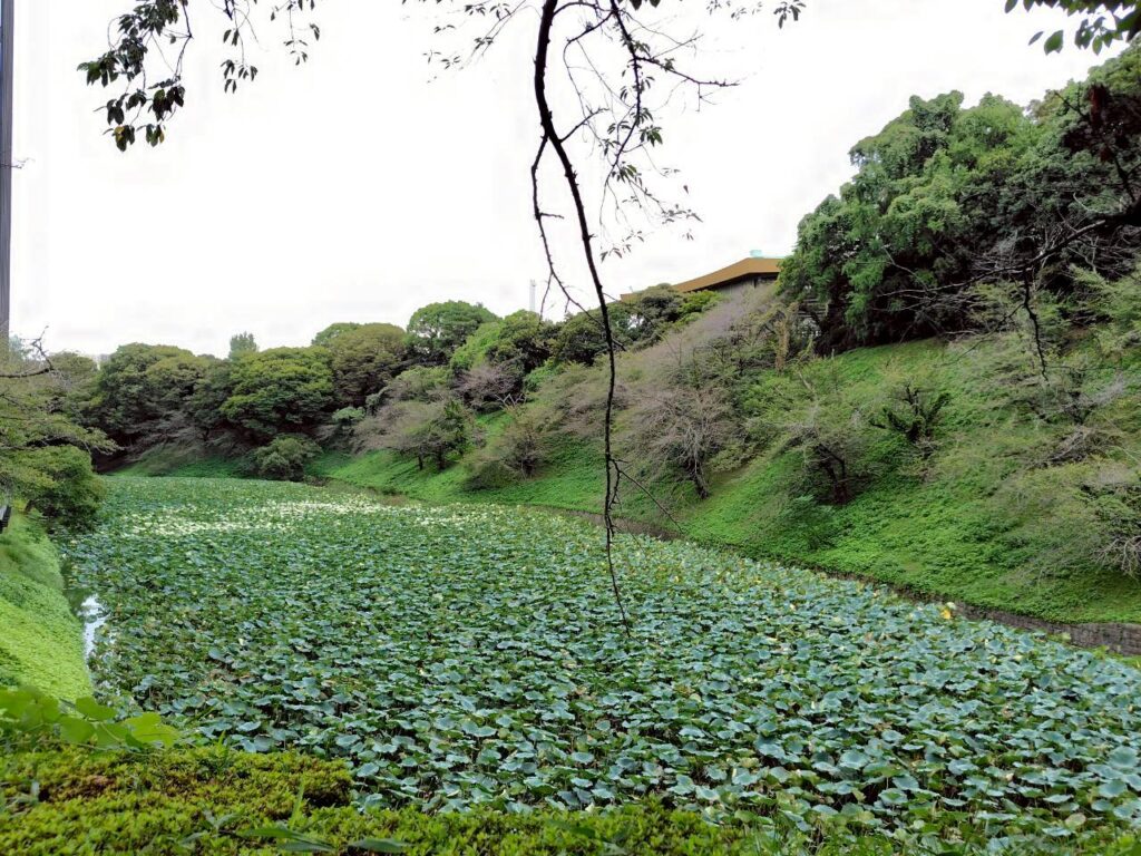 北の丸公園